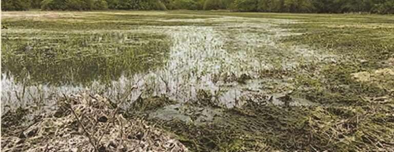 Inondations dans le Noyonnais