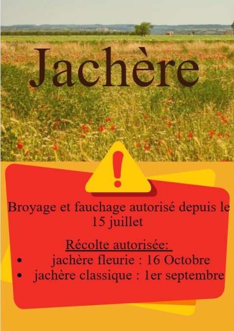 Jachère 2024 dans l’Oise